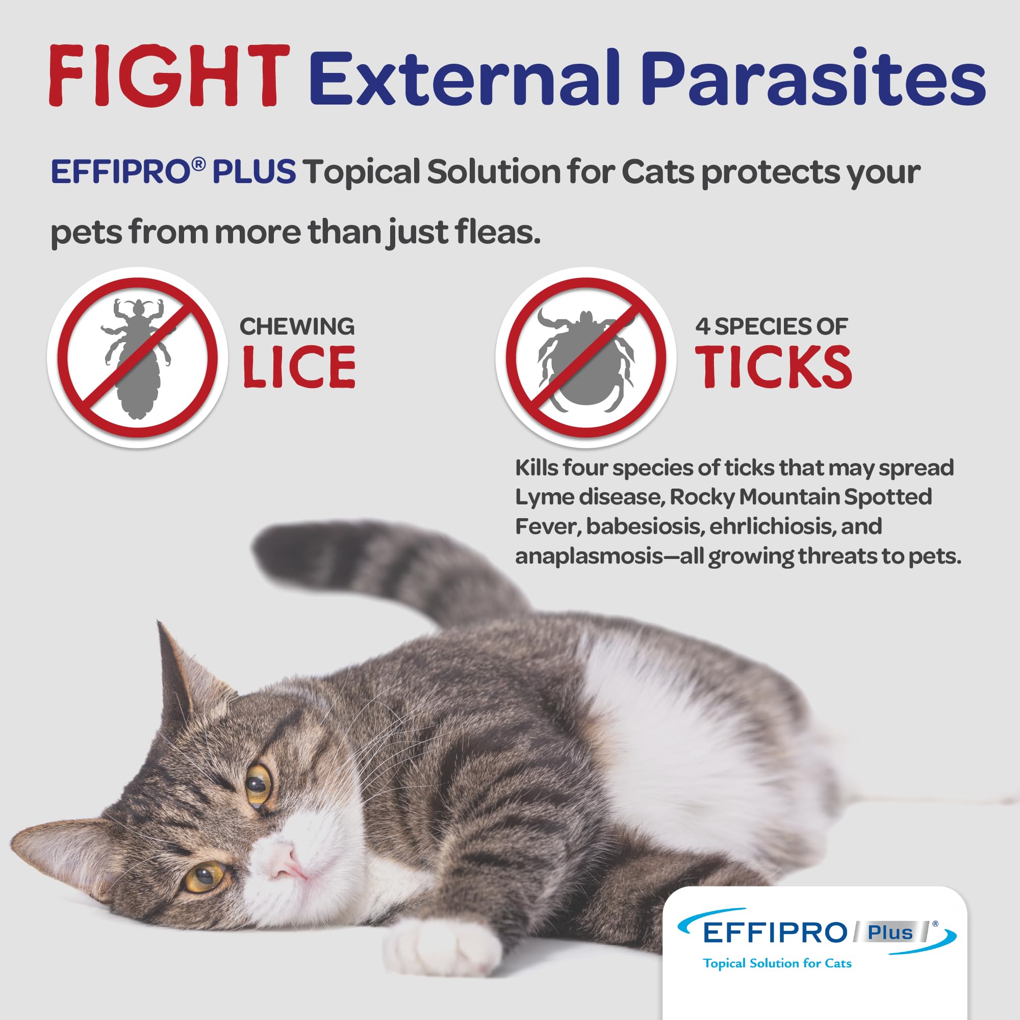 Virbac EFFIPRO Plus four-week protection visual showing lasting effect.