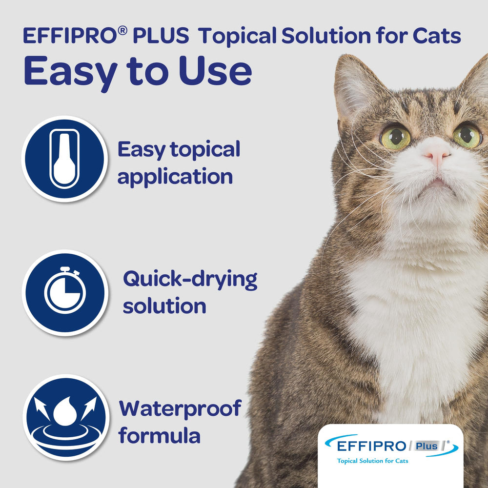 Virbac EFFIPRO Plus manufacturing-date label confirms non-expiration claim.