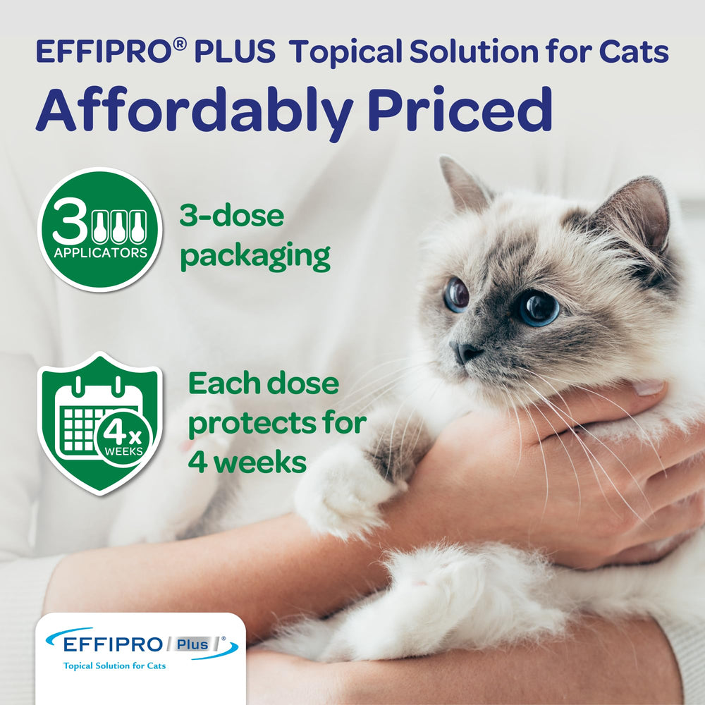Virbac EFFIPRO Plus no-expiration claim on packaging highlights stability.