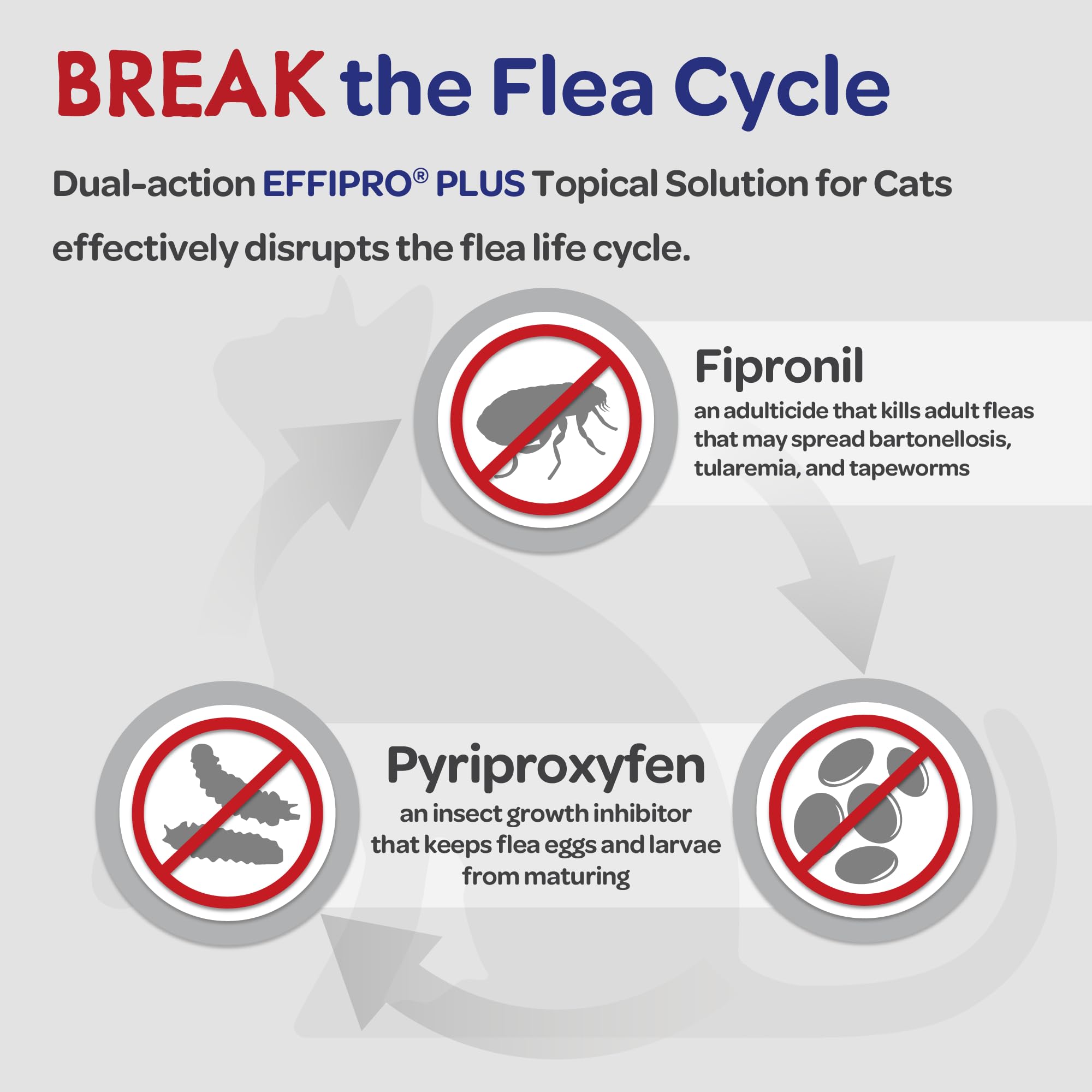Virbac EFFIPRO Plus waterproof application image indicating weather-resistant protection.