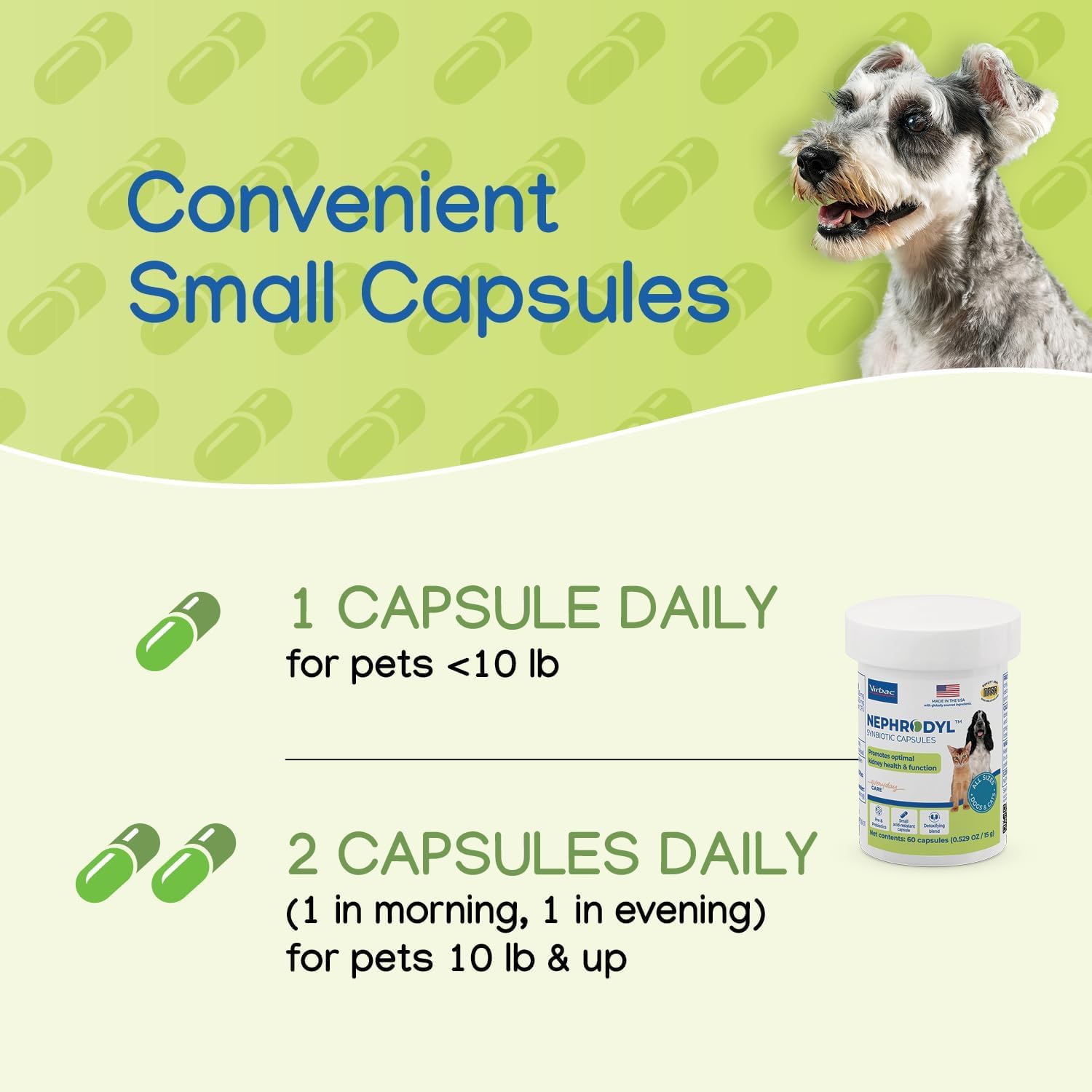 Owner administering NEPHRODYL to a dog for daily kidney wellness.