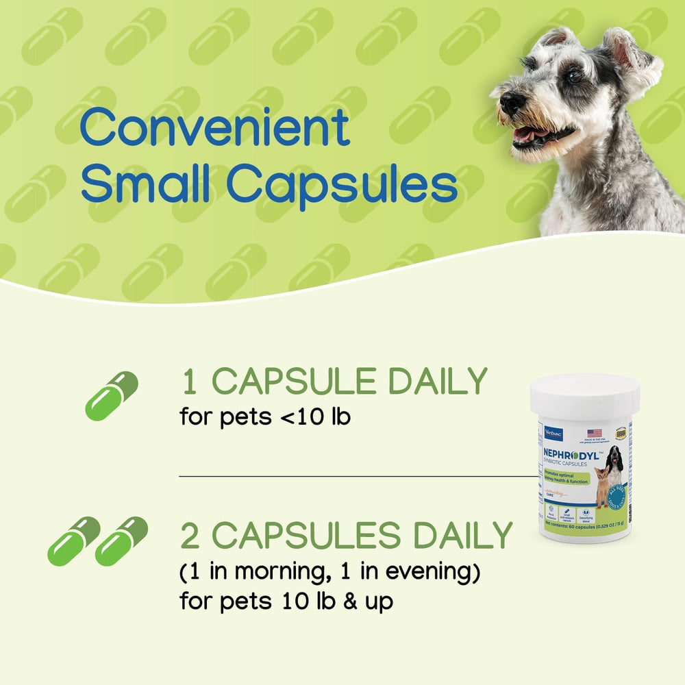 Owner administering NEPHRODYL to a dog for daily kidney wellness.