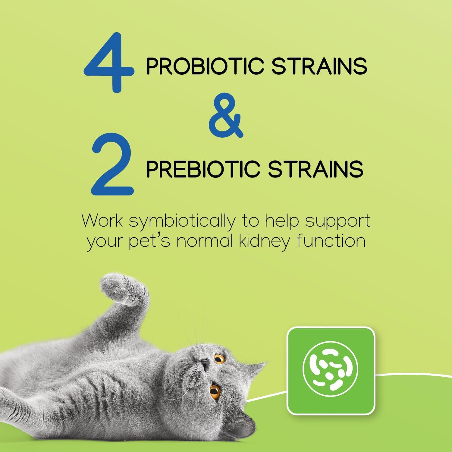Cat and dog use scene showing NEPHRODYL capsules for daily kidney care.