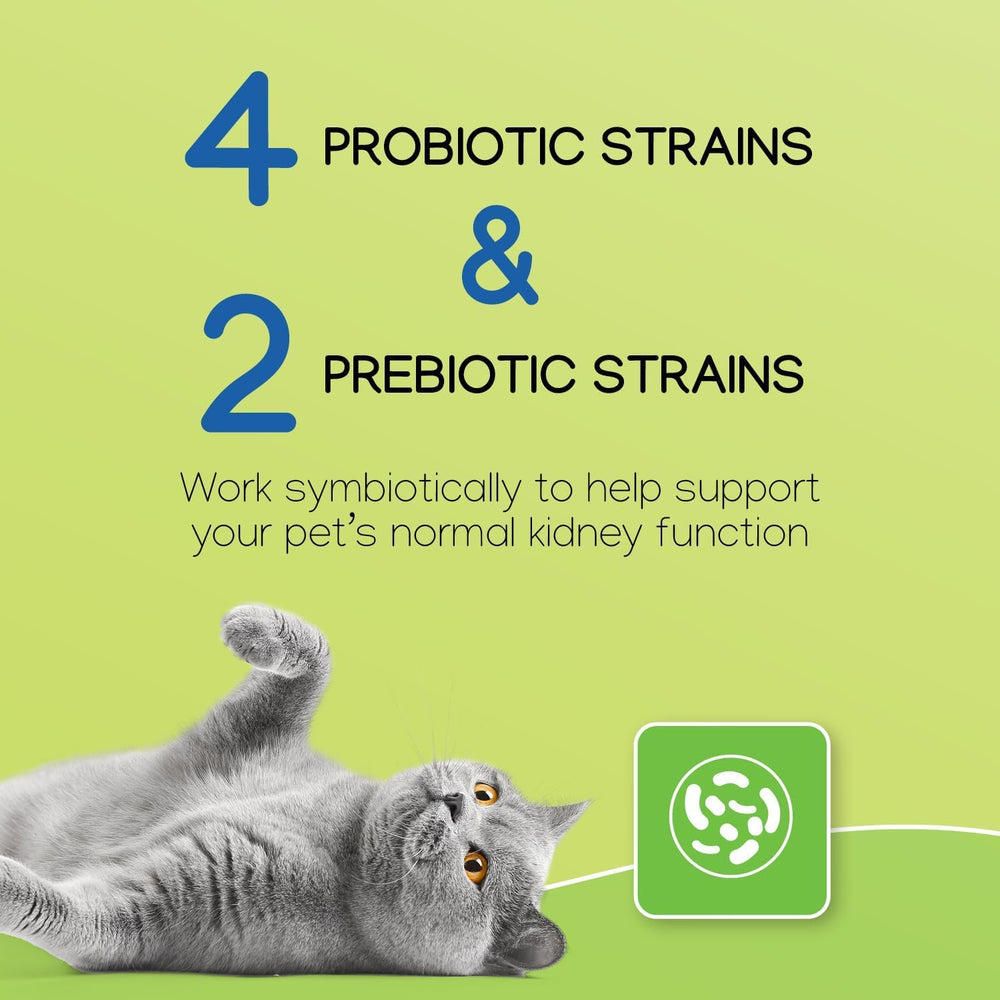 Cat and dog use scene showing NEPHRODYL capsules for daily kidney care.