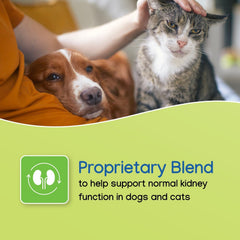 Close-up of NEPHRODYL capsules highlighting the synbiotic blend for gut health.