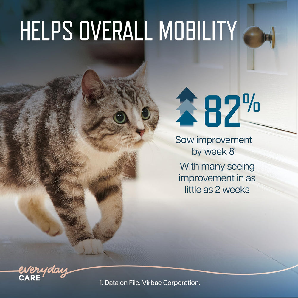 Virbac URSOLYX Soft Chews cat in motion supports mobility