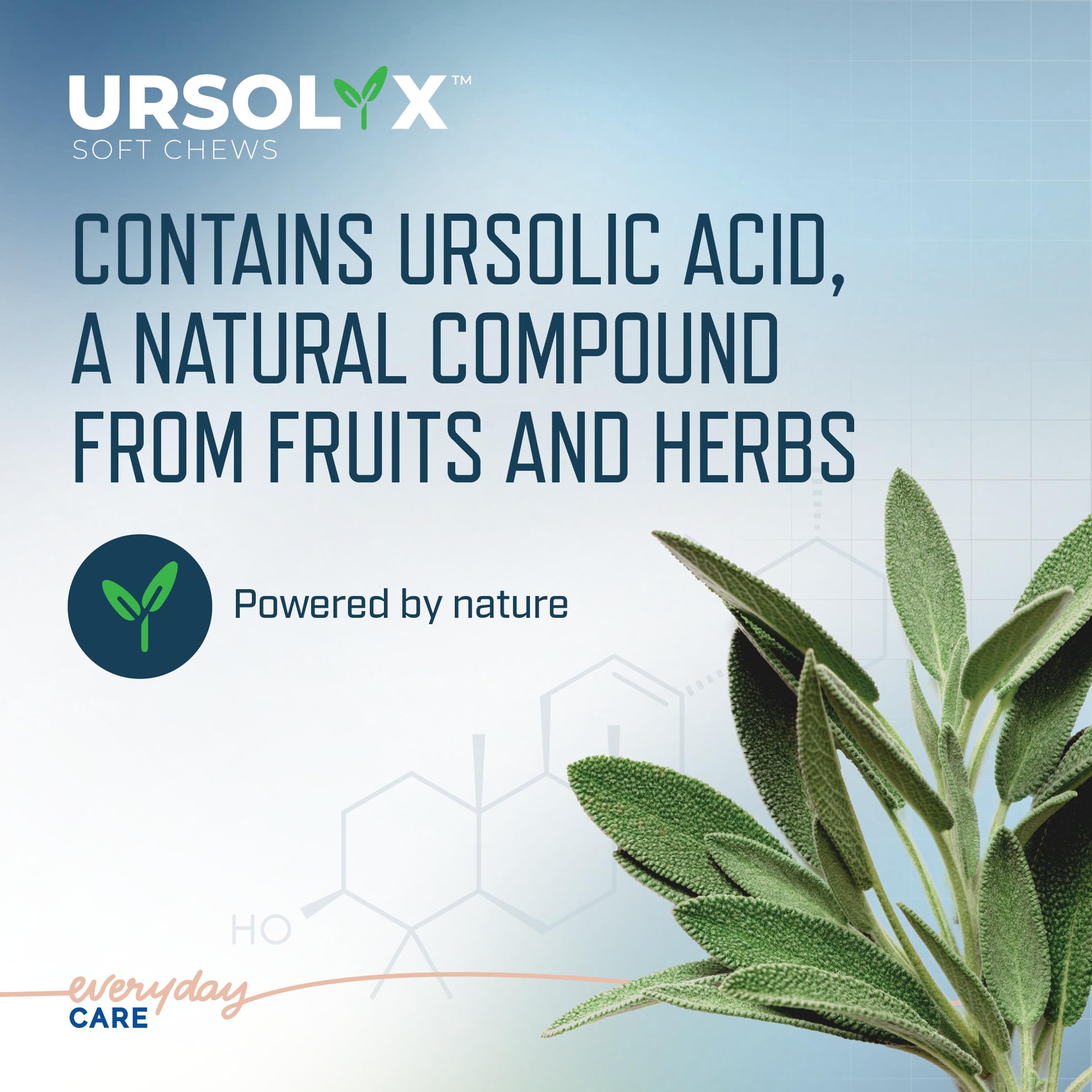 Virbac URSOLYX Soft Chews bacon flavor supports easy administration