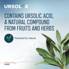 Virbac URSOLYX Soft Chews bacon flavor supports easy administration