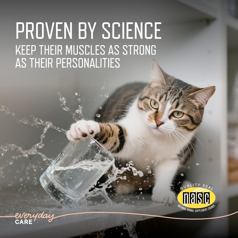 Virbac URSOLYX Soft Chews closeup highlights bacon flavor appealing to cats