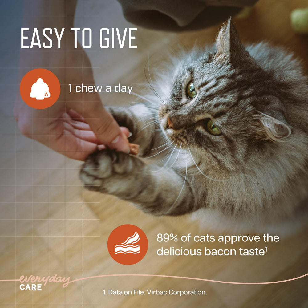 Virbac URSOLYX Soft Chews daily dose for cats