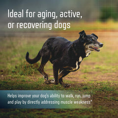 Virbac URSOLYX Soft Chews small-dog serving supports mobility for active seniors.
