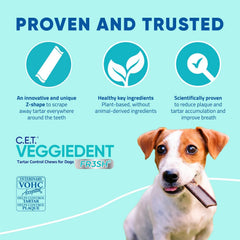 Virbac VeggieDent FR3SH prebiotic digestive support symbolizing gut-friendly benefits