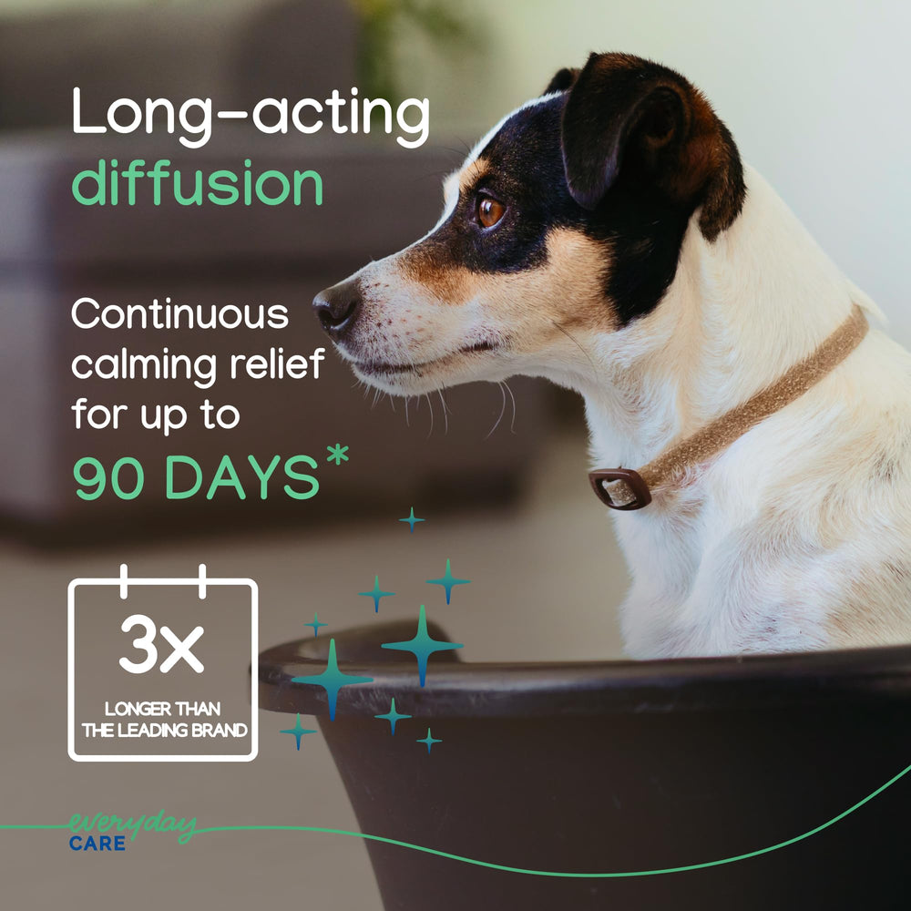 Dog during grooming session with ZENIDOG collar