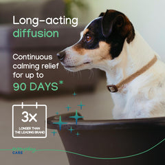 Dog during grooming session with ZENIDOG collar
