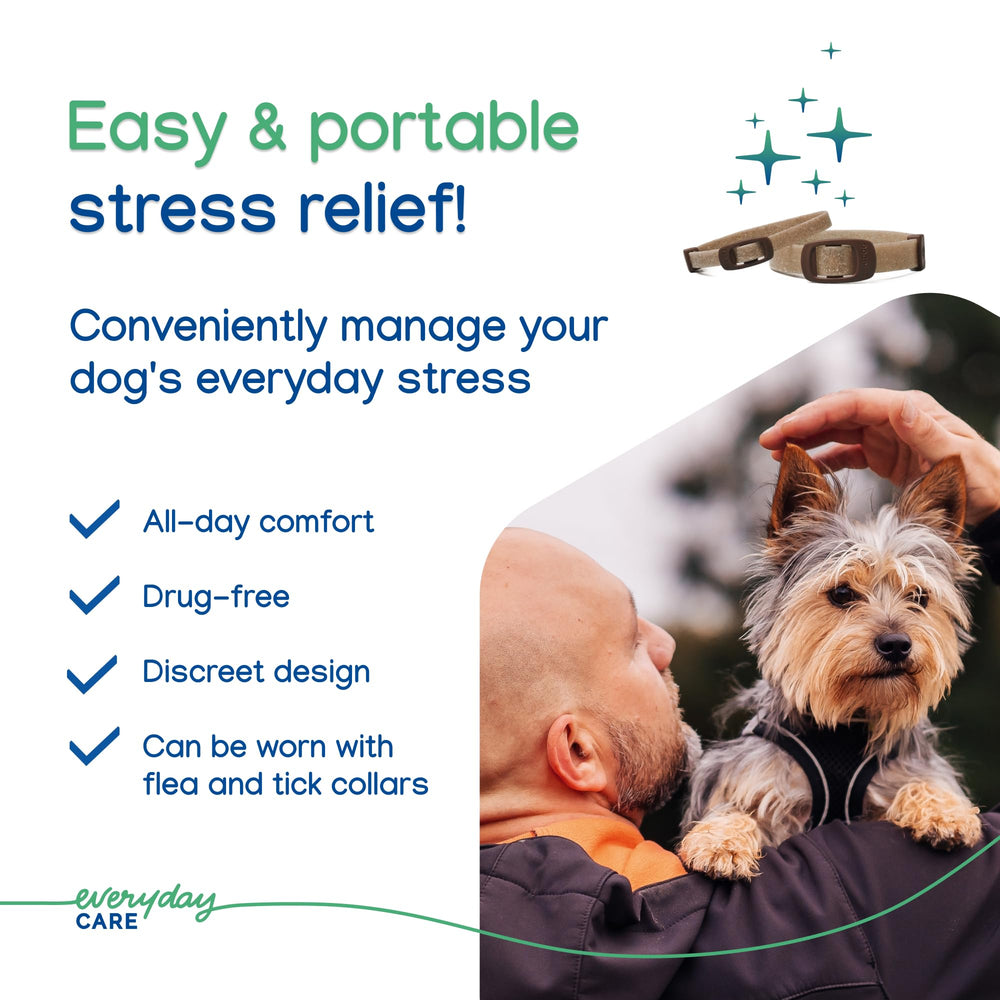 Two-size option illustration showing small and large dogs
