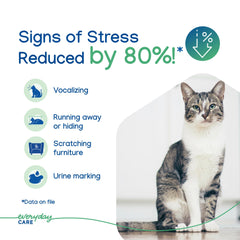 Virbac Zenifel cat relaxing during noisy events demonstrates stress relief potential.