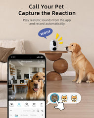 Motion tracking with Virtavo dual-lens camera keeps your pet in frame as they move.