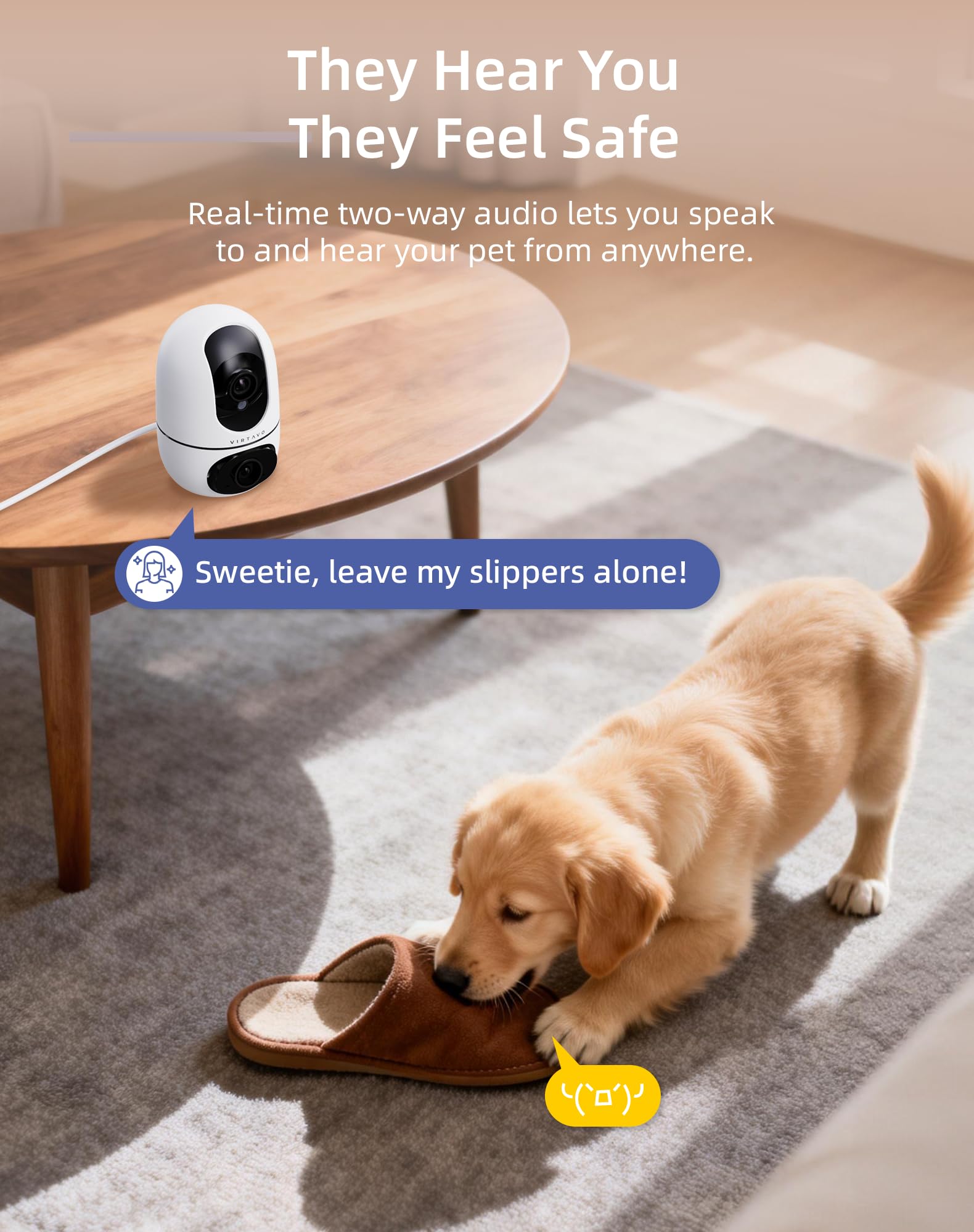 Wi‑Fi 6 setup with Virtavo pet camera indoor for fast streaming.