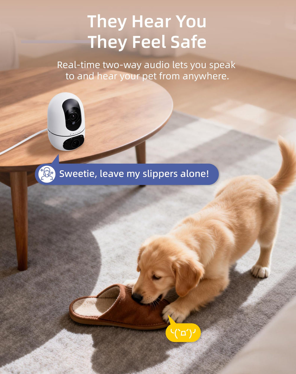 Wi‑Fi 6 setup with Virtavo pet camera indoor for fast streaming.