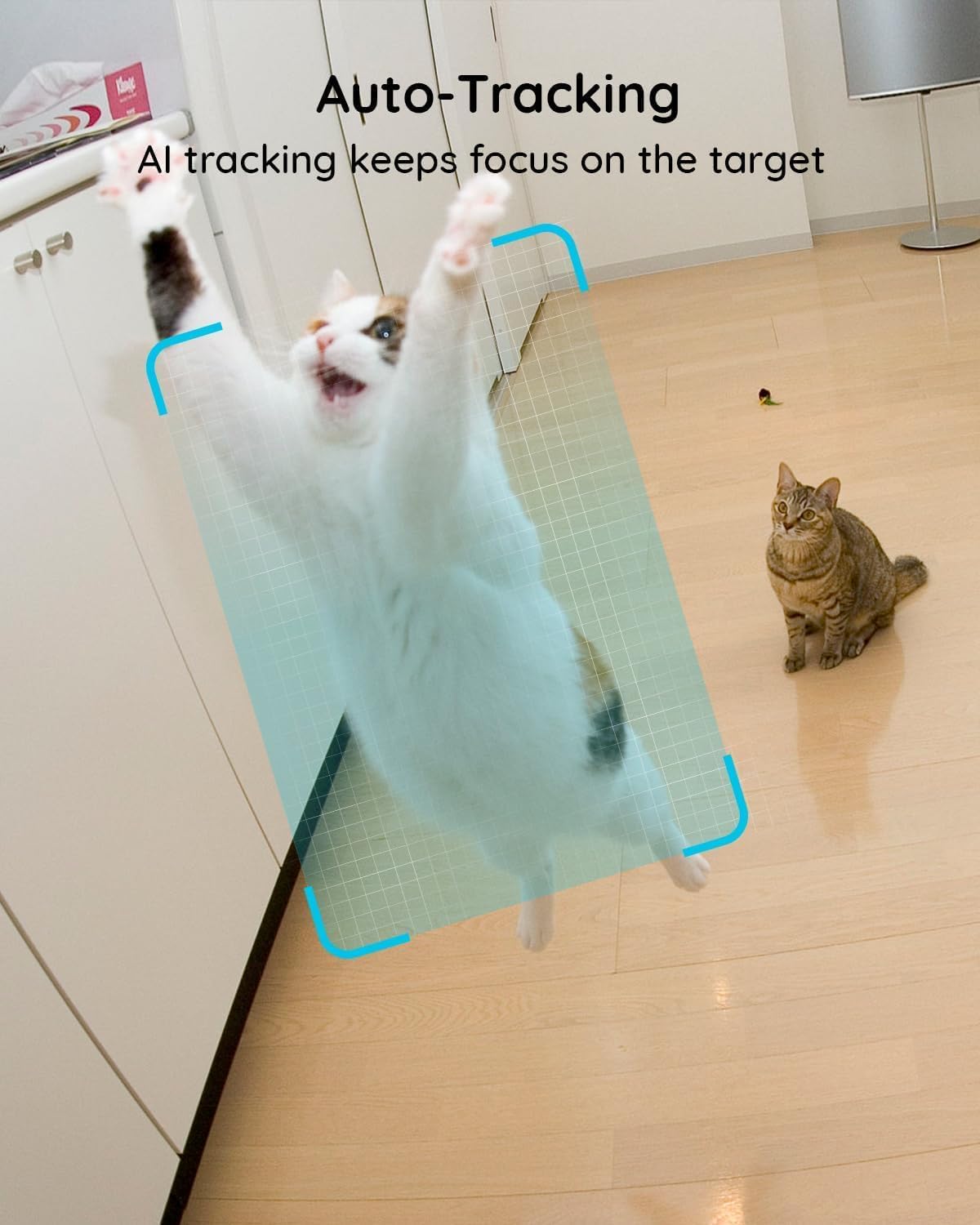 VIRTAVO XD1 pet call and two-way audio helps guide pets into view.