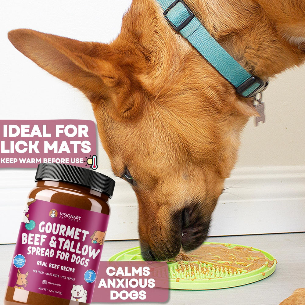 Visionary Pet Foods Beef Meat Spread as a meal topper to enhance flavors.