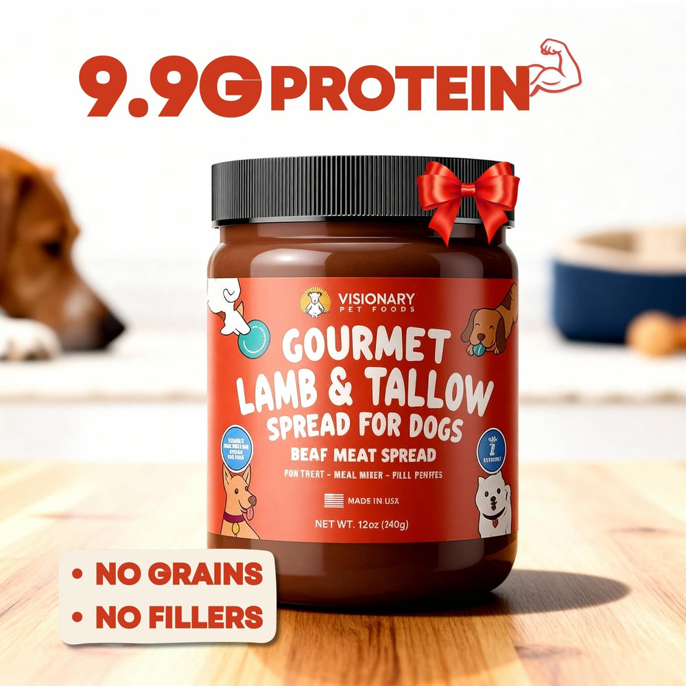 Spoonful of Visionary Pet Foods Lamb Tallow Meat Spread ready to serve
