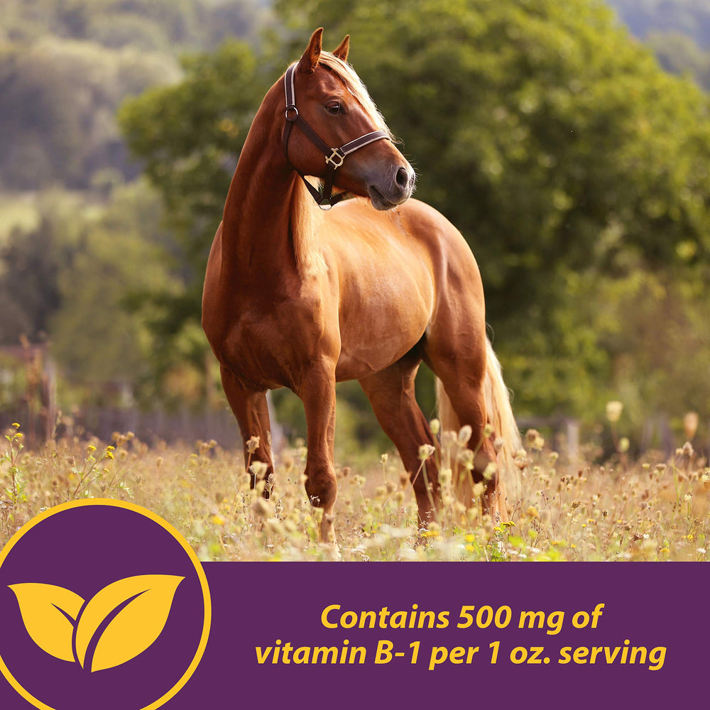 Vita B-1 Crumbles helps maintain energy after strenuous exercise