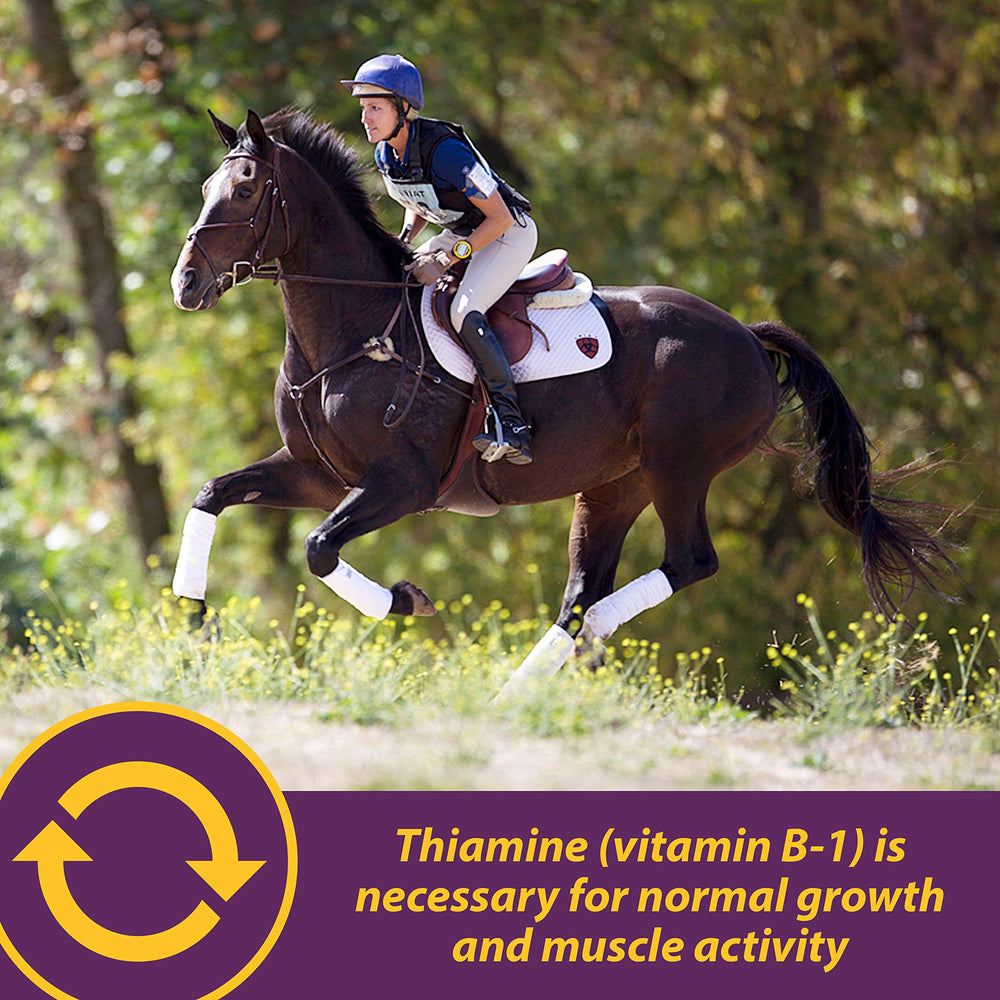 Vita B-1 Crumbles aids metabolism for carbohydrates fats and proteins in horses