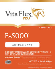 Measuring scoop with Vita Flex Pro E-5000 powder ready for use