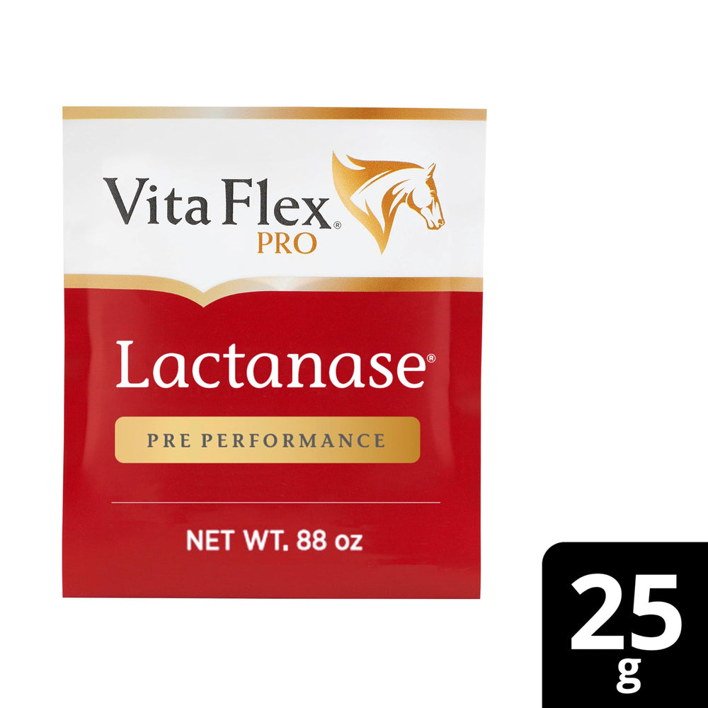 Athletic horse benefiting from Vita Flex Pro Lactanase muscle support.