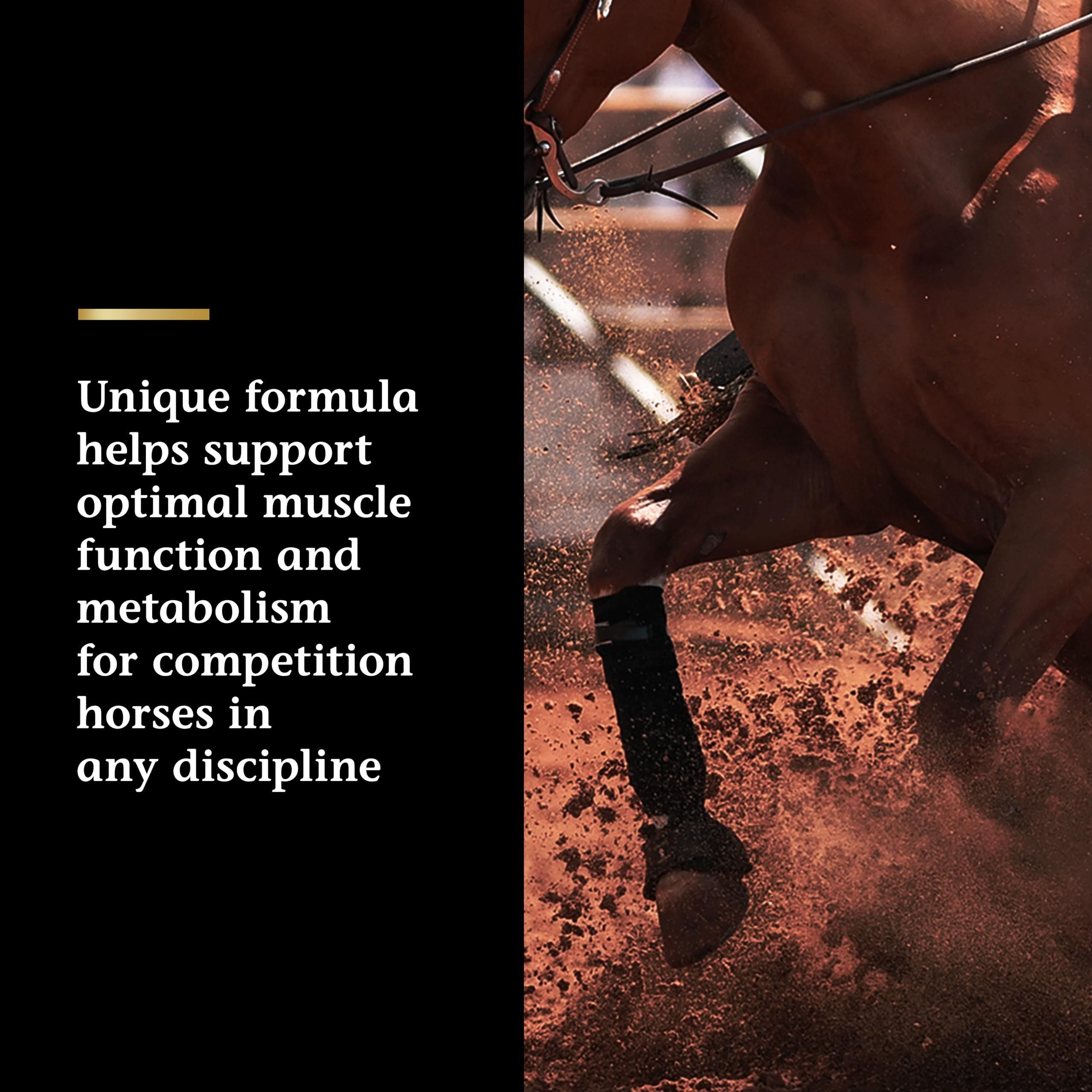 Dosing cup with Vita Flex Pro Lactanase for easy pre-ride dosing.