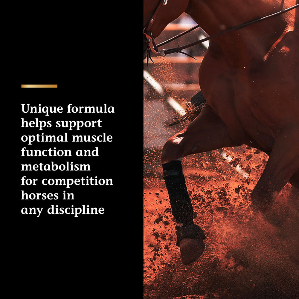 Dosing cup with Vita Flex Pro Lactanase for easy pre-ride dosing.