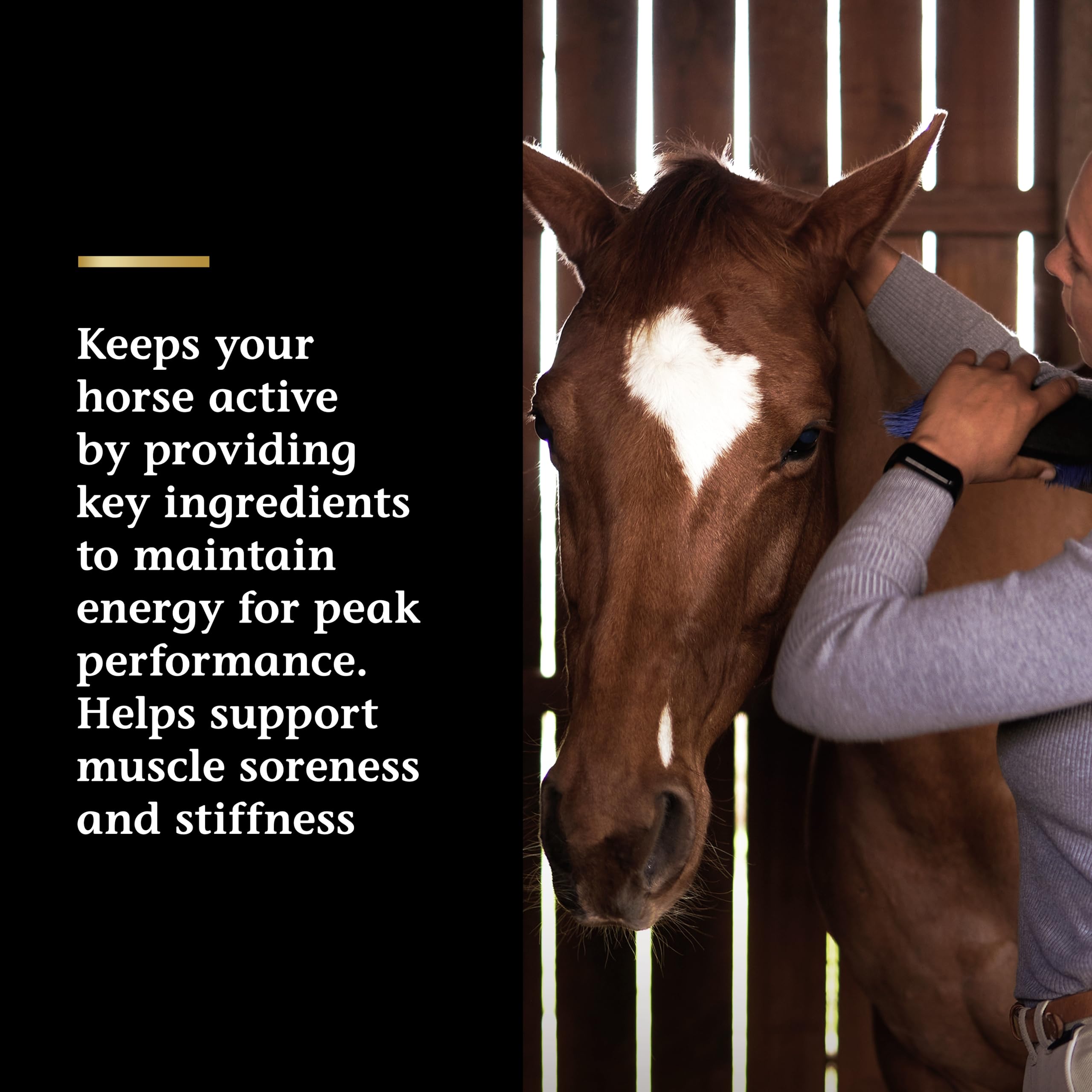 Vita Flex Pro Lactanase packaging on shelf for convenient prep.