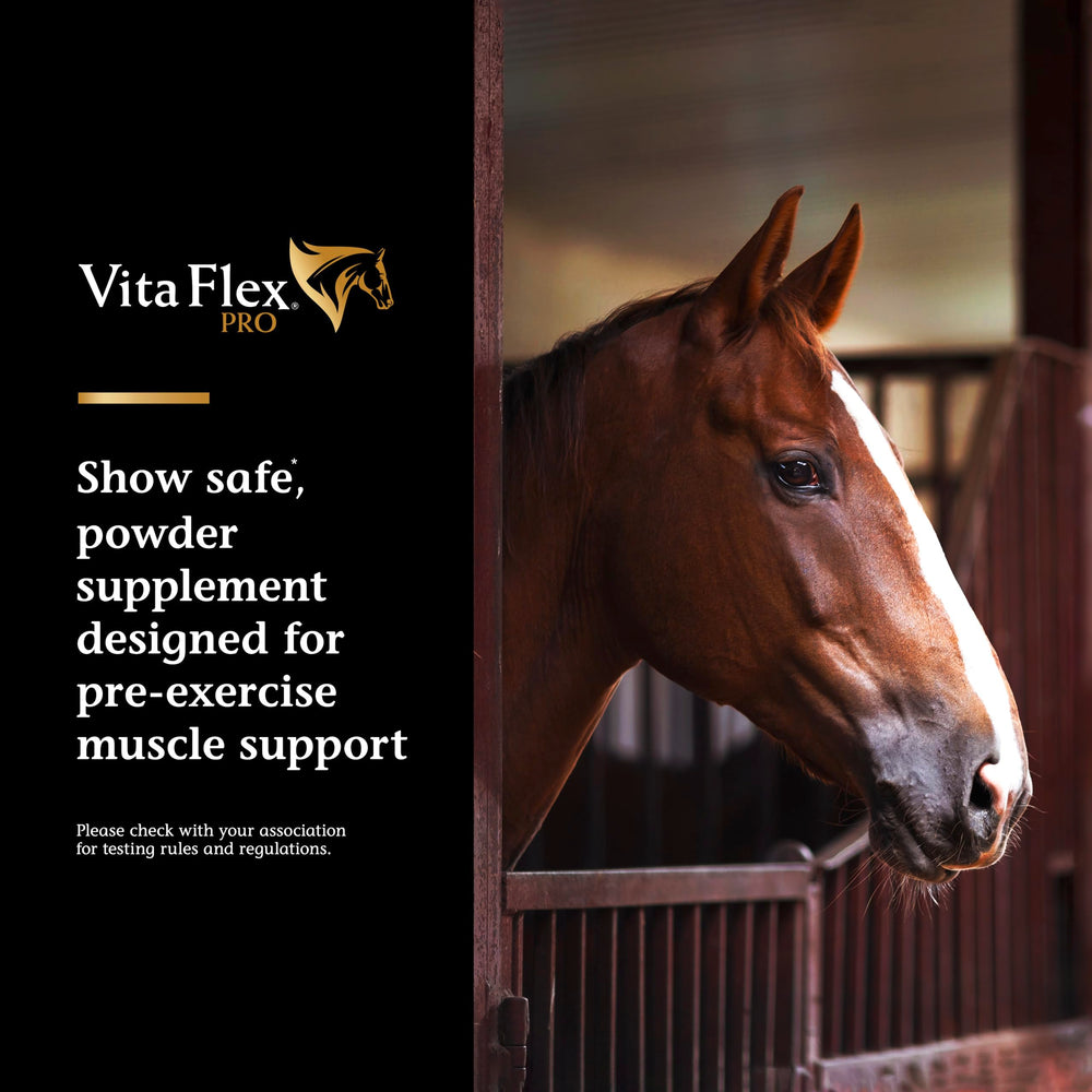 Opening Vita Flex Pro Lactanase packet for fast pre-workout energy.
