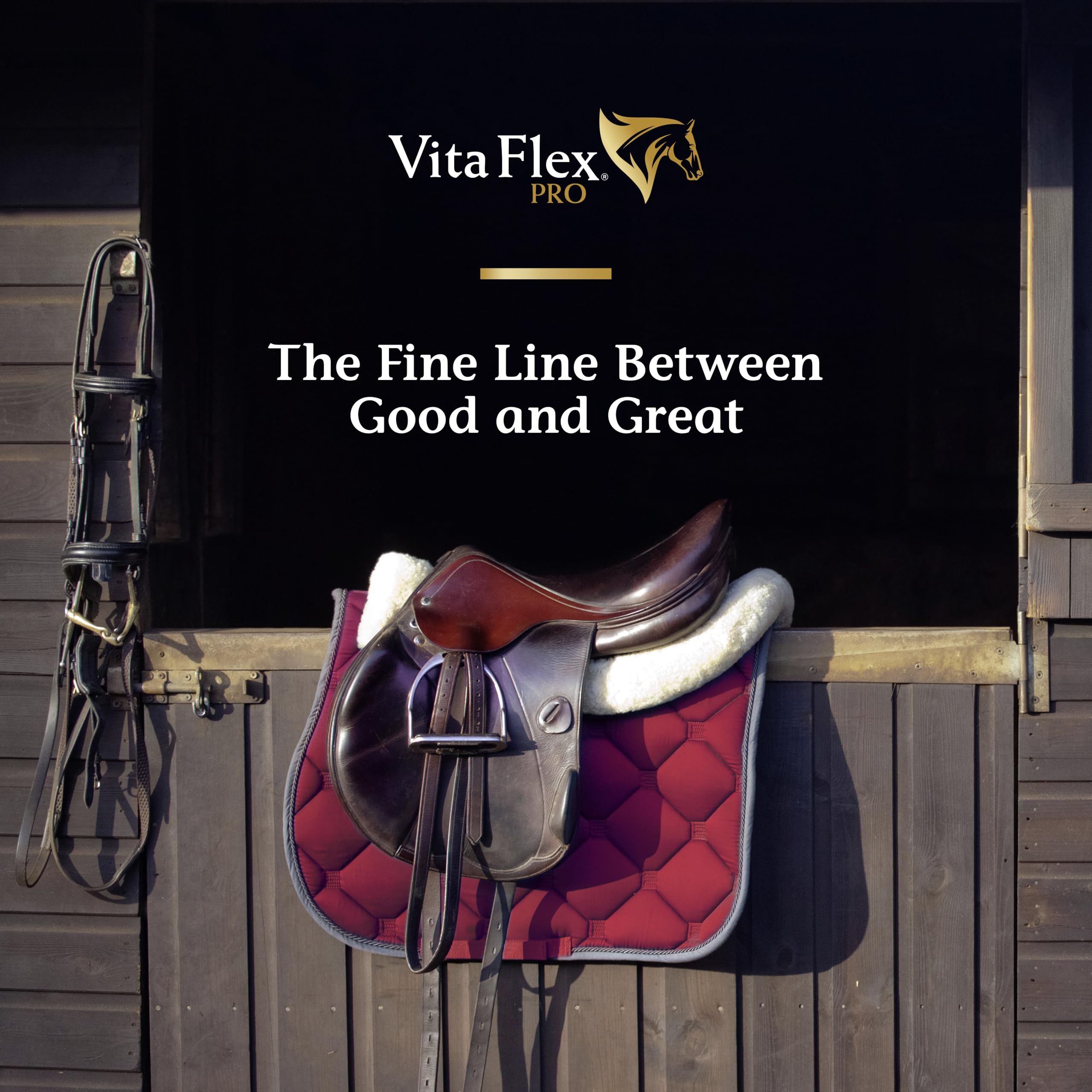 Show ring energy with Vita Flex Pro Lactanase during performance.