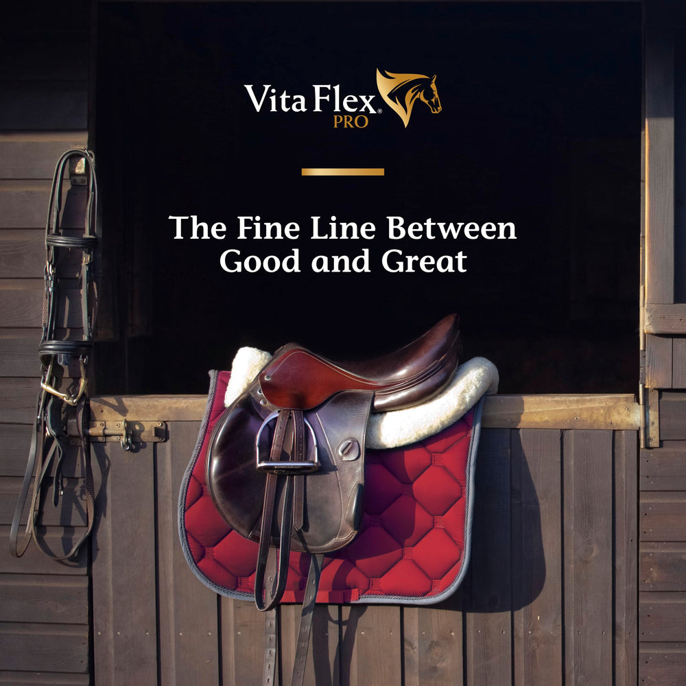 Show ring energy with Vita Flex Pro Lactanase during performance.