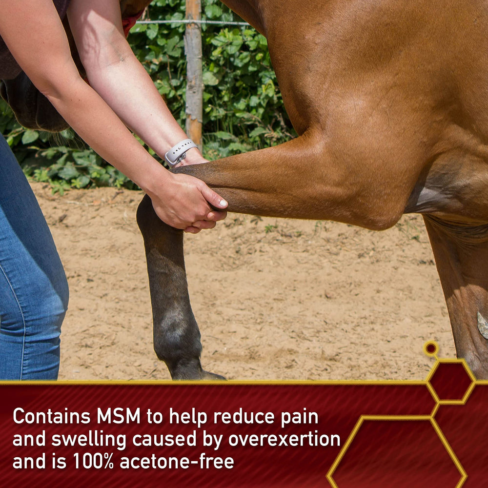 Acetone-free Thermaflex formulation designed for horses