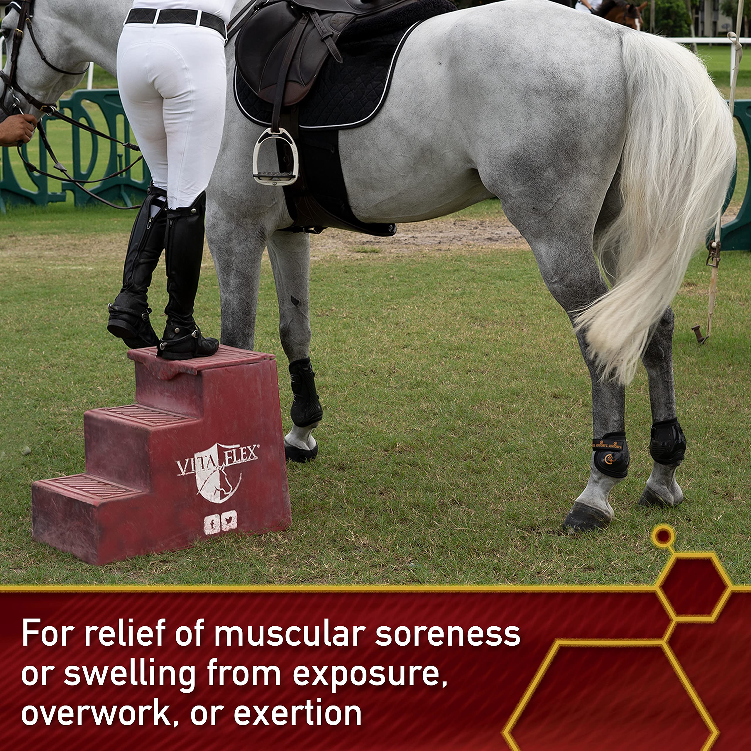 Horse owner applying Thermaflex gel to a treated area