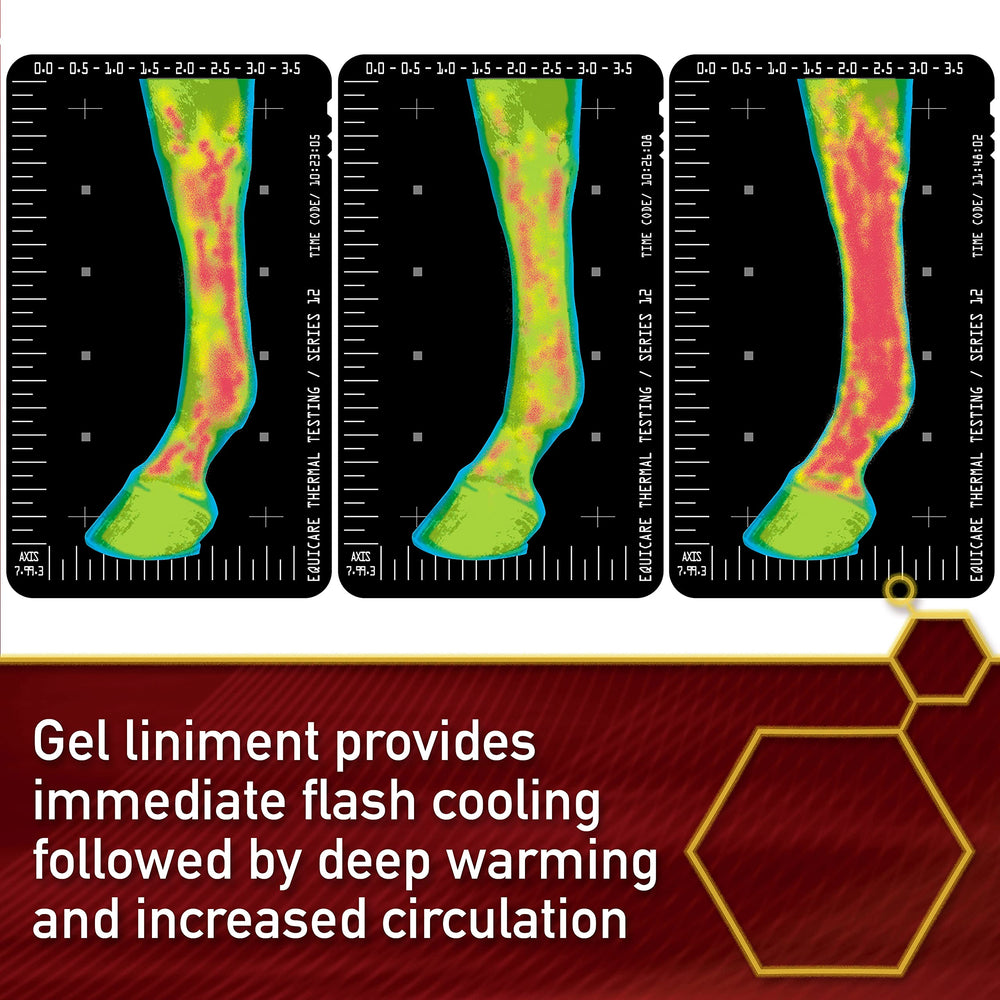 MSM-containing Thermaflex formula for horse-safe topical care