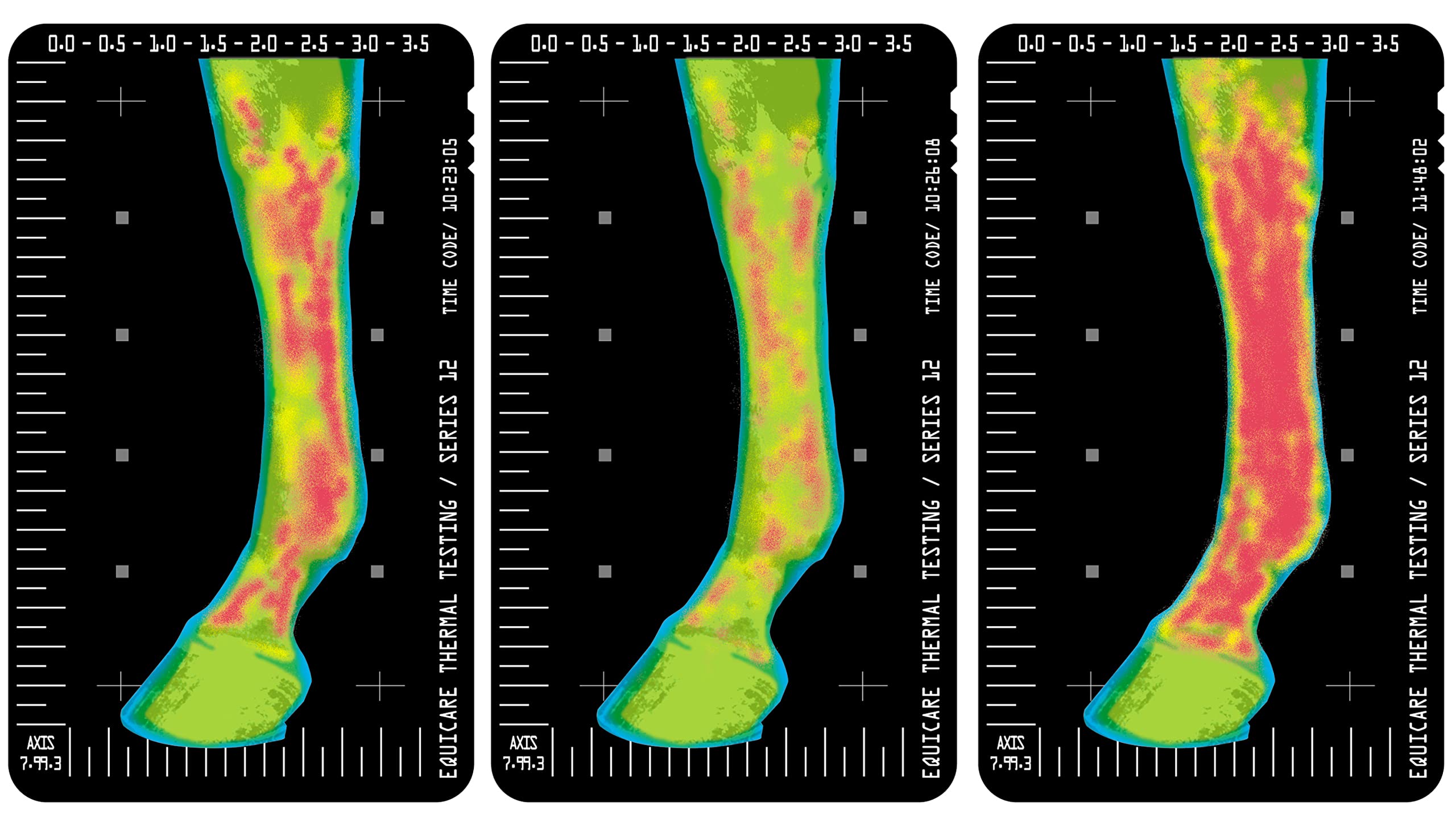 Thermaflex lineament aiding temporary soreness and swelling after activity