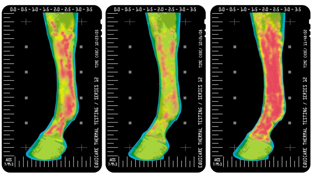 Thermaflex lineament aiding temporary soreness and swelling after activity