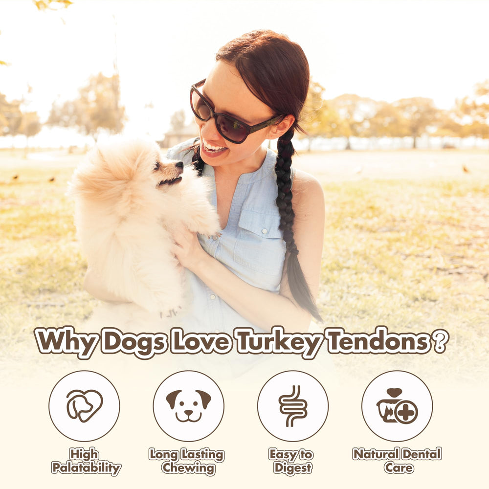 VITADAY turkey tendons chew action with a dog enjoying a long-lasting treat