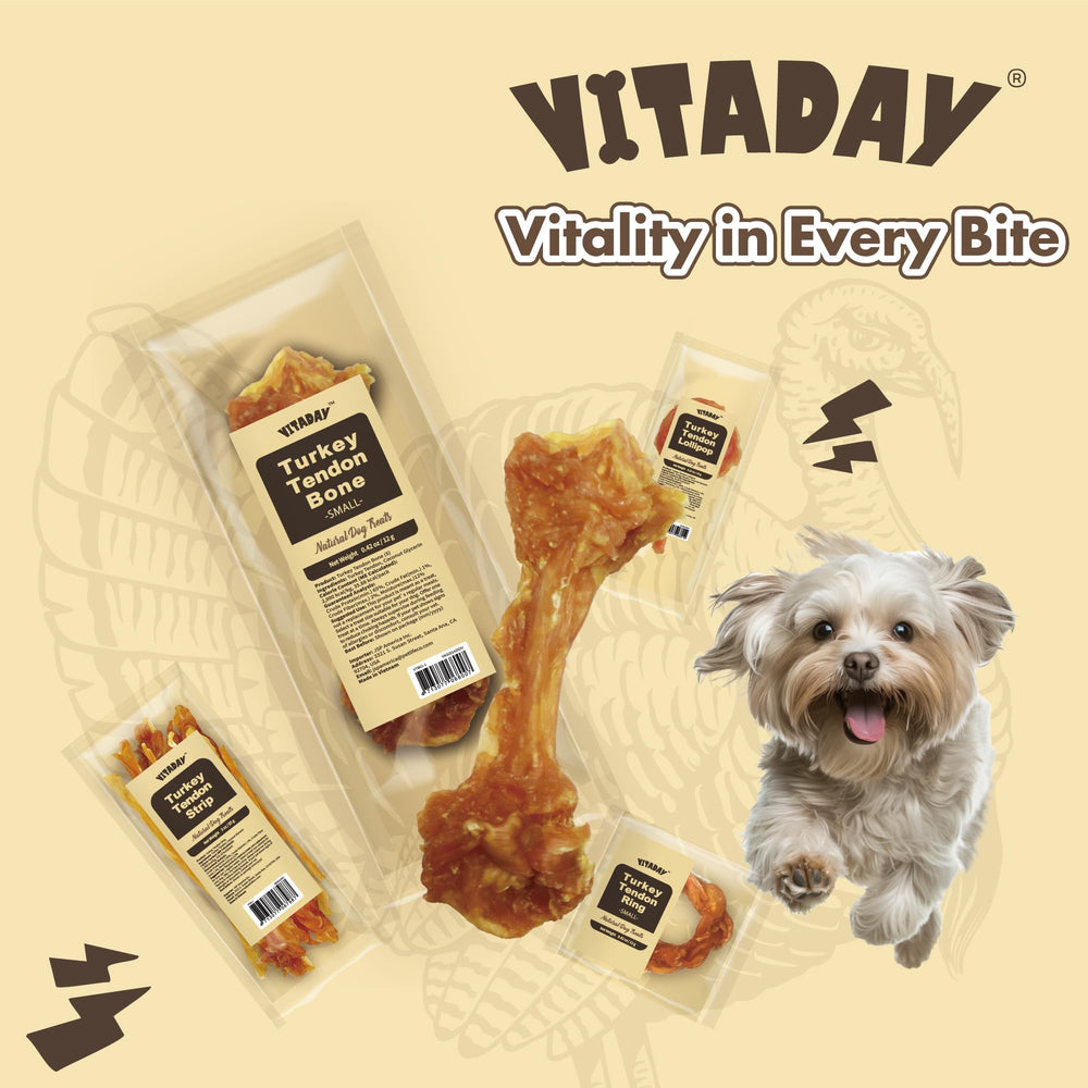 VITADAY product moment with a dog enjoying lean protein snack
