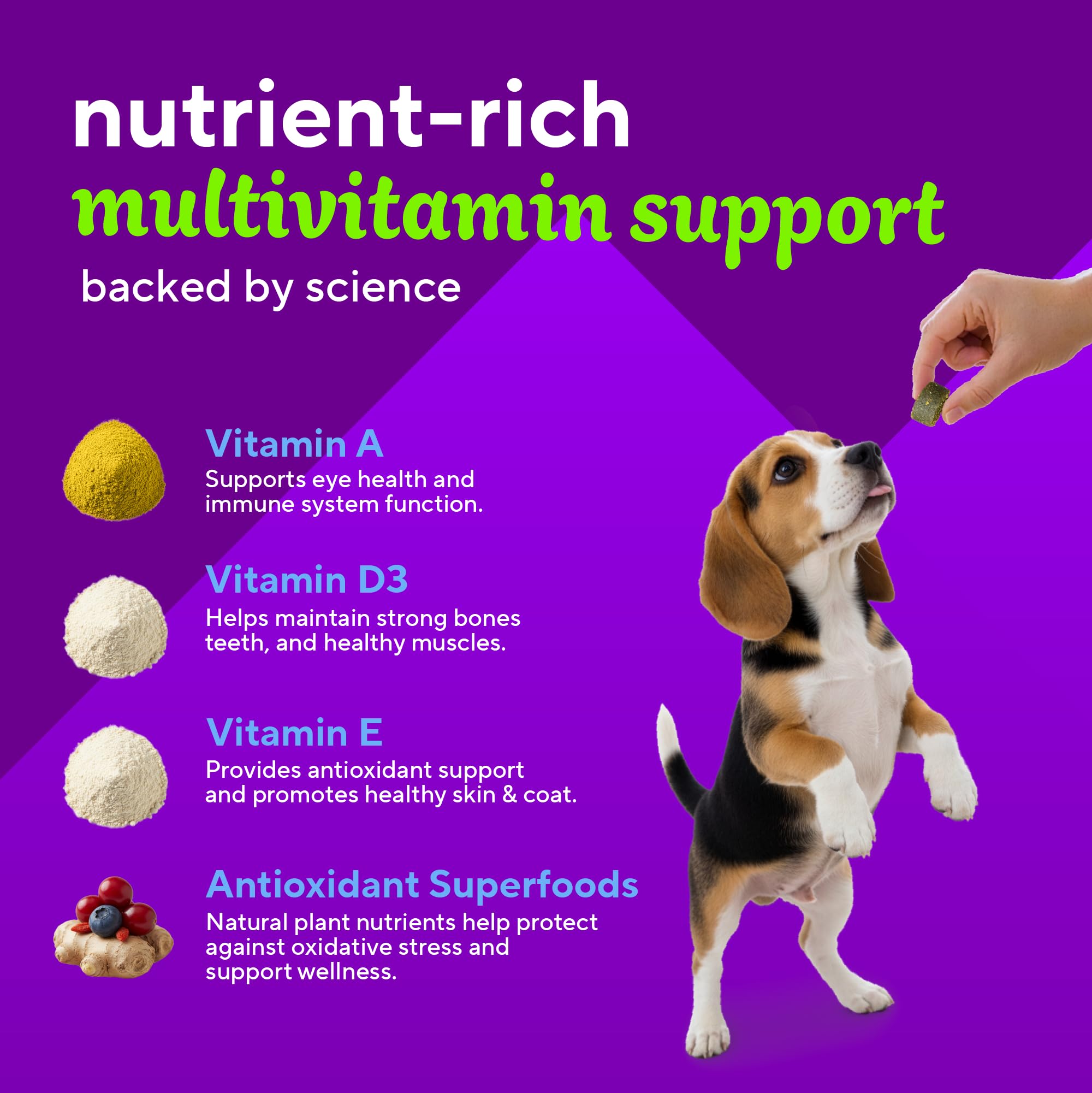 Label close-up of VitaFusion for Dogs with vitamins A, D3 and E.
