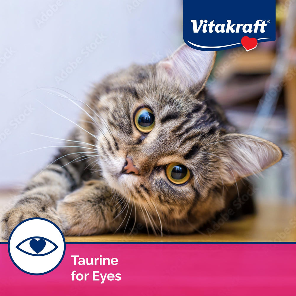 Vitakraft Lick 'N' Lap helps disguise medicine with flavor