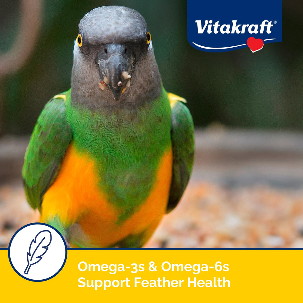 Vitakraft Menu Cockatiel Food image indicates immune-support nutrients for a robust daily routine.