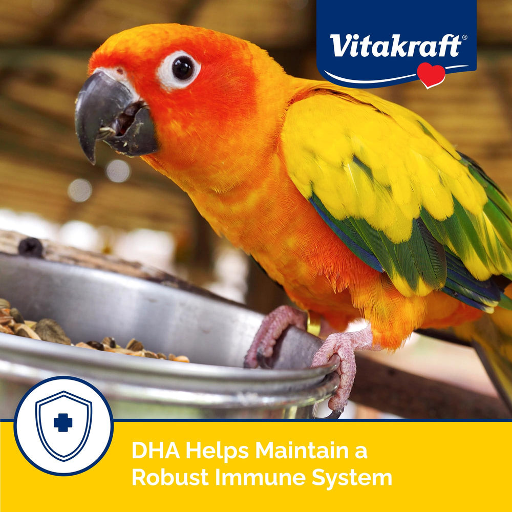 Vitakraft Menu Cockatiel Food varied-ingredients closeup demonstrates flavors and textures birds enjoy.