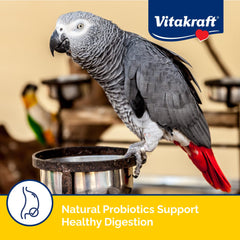 Vitakraft Menu Parrot Food vitamin-fortified image demonstrates overall wellness support