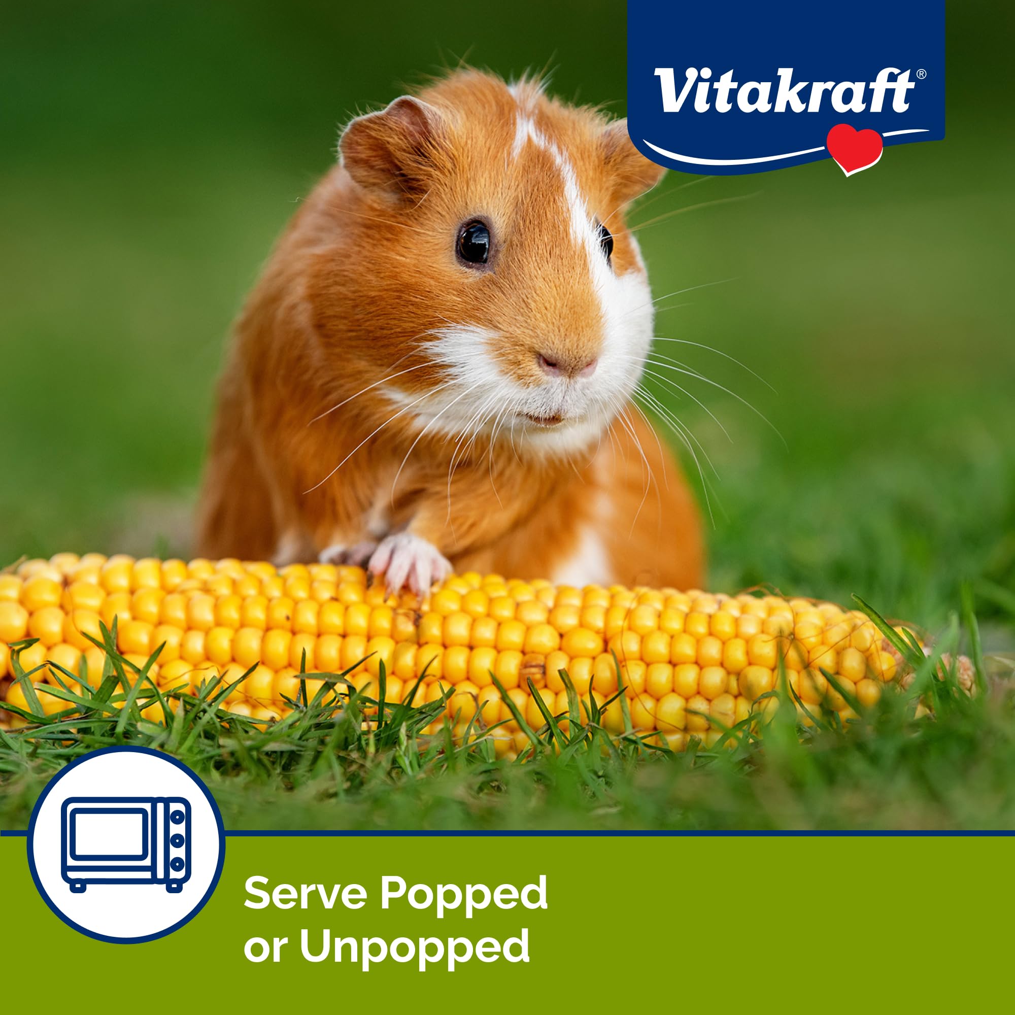 Vitakraft Mini Pops enrichment-activity stimulates foraging and active behavior.