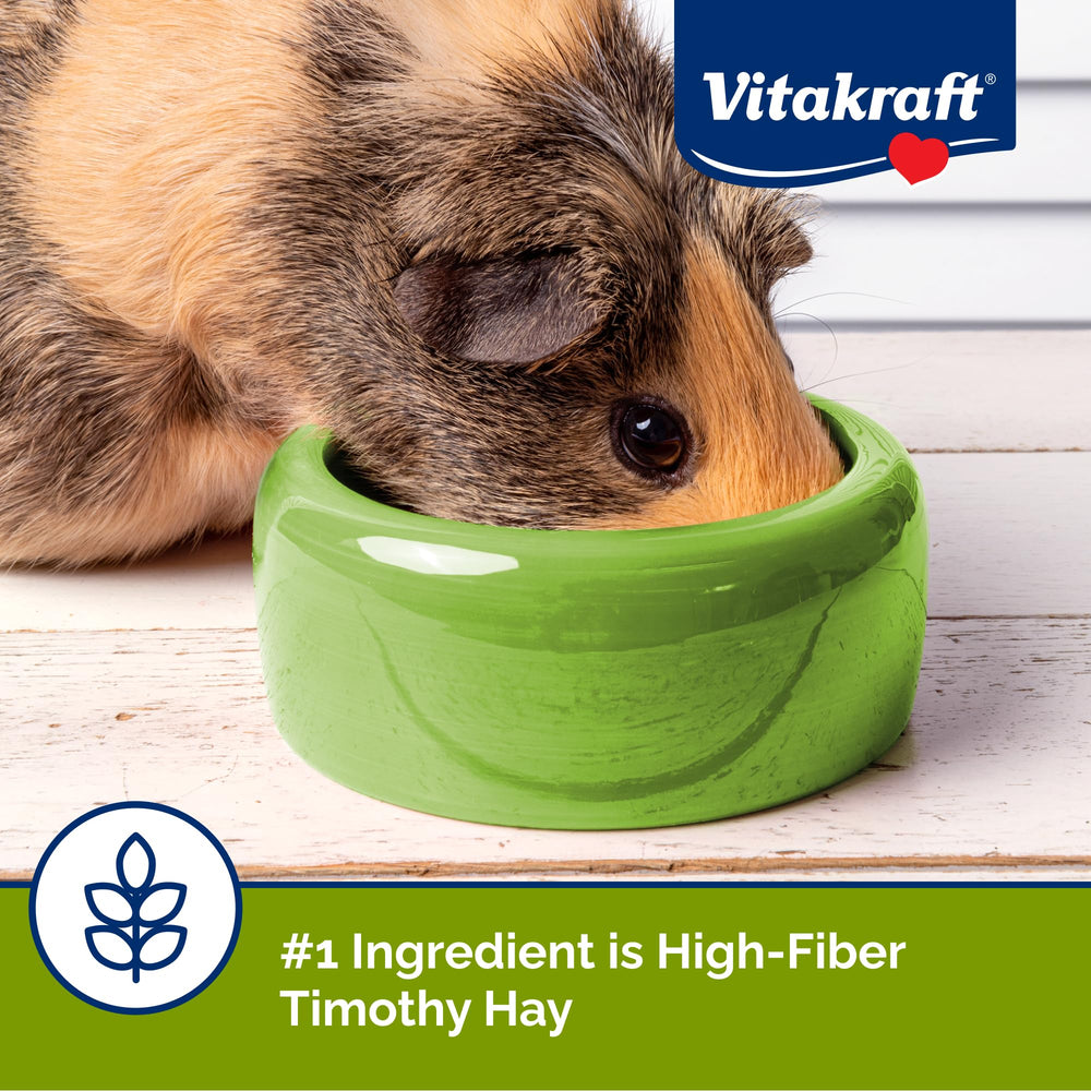 Guinea pig enjoying Vita Smart mix during mealtime.